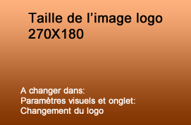 Logo vue directe